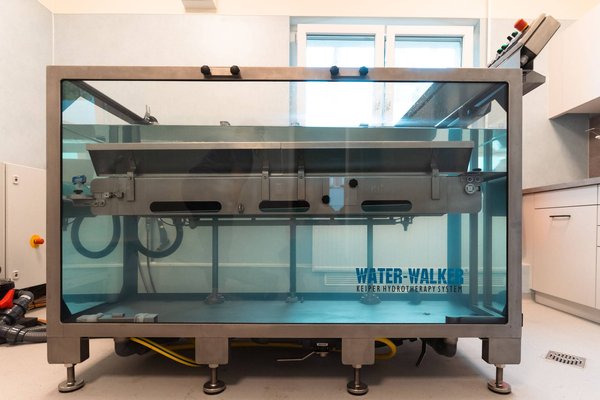 Foto unseres Unterwasserlaufbands