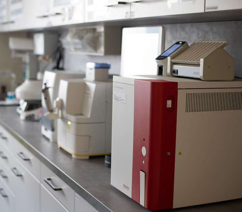 Unsere Leistungen als Tierarzt in Rostock Link zu unseren Tierarzt-Leistungen